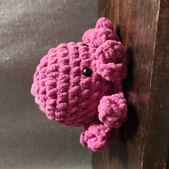 Mini octopus - Picture 2 of 5